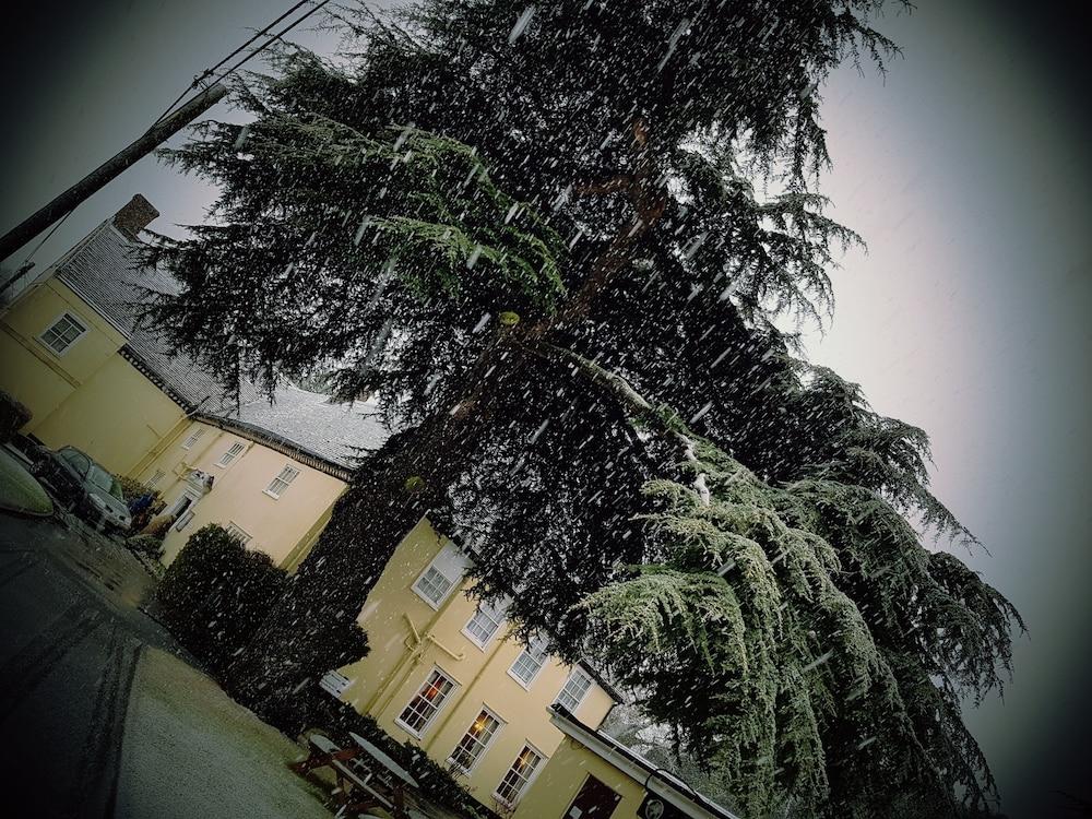 The Cedars Hotel Стоумаркет Экстерьер фото